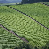 '08 富良野・美瑛