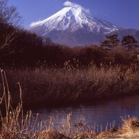四季の富士