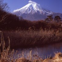 四季の富士