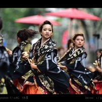 にっぽんど真ん中祭り2015