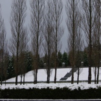 雪　樹　空　