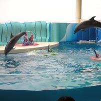 NIKON(ニコン)のデジタルカメラCOOLPIX S8 で撮影した写真(画像)一覧