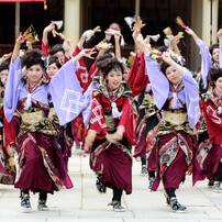 KOBE ALIVE 2015