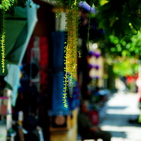 Scenes from Hoi An