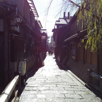 IMGP0445