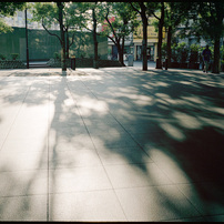 MAMIYA(マミヤ)のフィルムカメラ7 II で撮影した写真(画像)一覧- 写真