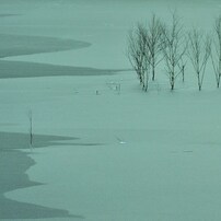 氷雪原野　 The ice and snow wilderness