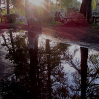 石神井公園の夕日と湧水