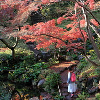 紅葉道なう