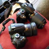 Nikon COOLPIX S52 コンデジ　エモい写真が撮れる Trying out a Nikon Coolpix S52 [Auto] : r/VintageDigitalCameras