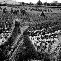 美しき日本の田舎　〜秋〜