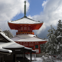 雪の根本大塔