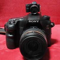 SONY(ソニー)のデジタルカメラサイバーショット DSC-W270 で撮影した