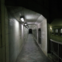 GRスナップ