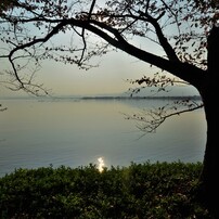 琵琶湖北湖を行く