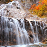 白山スーパー林道