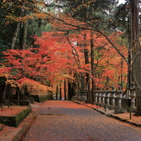 佛通寺 (2) 15.11.09