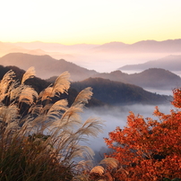 晩秋の絶景