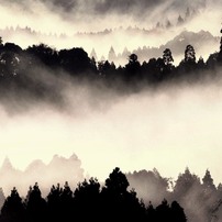 KYOCERA(京セラ)のレンズ Carl Zeiss Vario-Sonnar T* 100-300mm F4.5