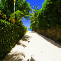 HAWAII