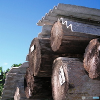 OLYMPUS(オリンパス)のデジタルカメラX250,D560Z,C350Z で撮影した写真