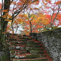 紅葉＆城跡