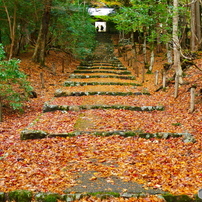 2015関西の秋（京都　滋賀）