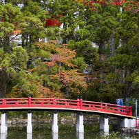 高野山の紅葉#2