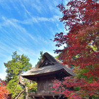 紅葉の平林寺-2015年11月