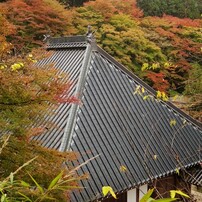 愛知で一番人気？の香嵐渓