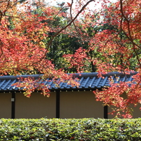 京都御苑４