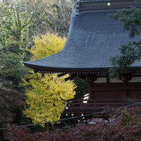 幅広いシーンで大活躍☆タムロン 28-200mm MACRO A03 ニコン用♡ 幅広いシーンで大活躍☆タムロン 28-200mm MACRO A03 ニコン用♡