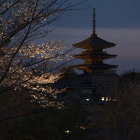 あ、京都だ