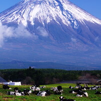 富士山のある風景