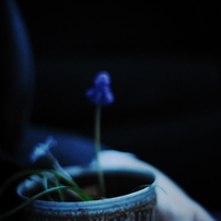 0404