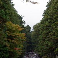 日光東照宮