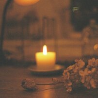 花とアンティークの撮影会