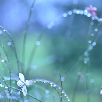 雨の日