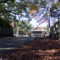Late Autumn in KYOTO KOBE & OSAKA