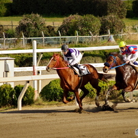 園田競馬 2015年12月29日(火)