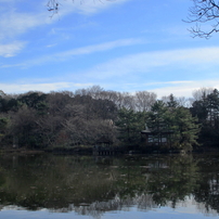 新年の石神井公園1