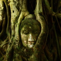 Ayutthaya