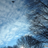 冬空01
