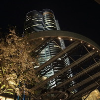 東京