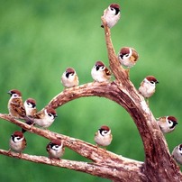 KYOCERA(京セラ)のレンズ Carl Zeiss Vario-Sonnar T* 100-300mm F4.5