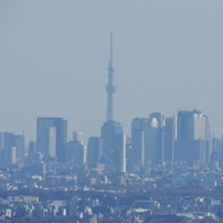 高尾山　初詣