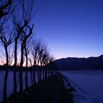 Niigata Walker