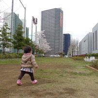 春だ！