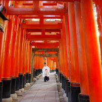 伏見・宇治の旅
