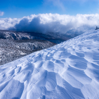 雪山讃歌 (2016)